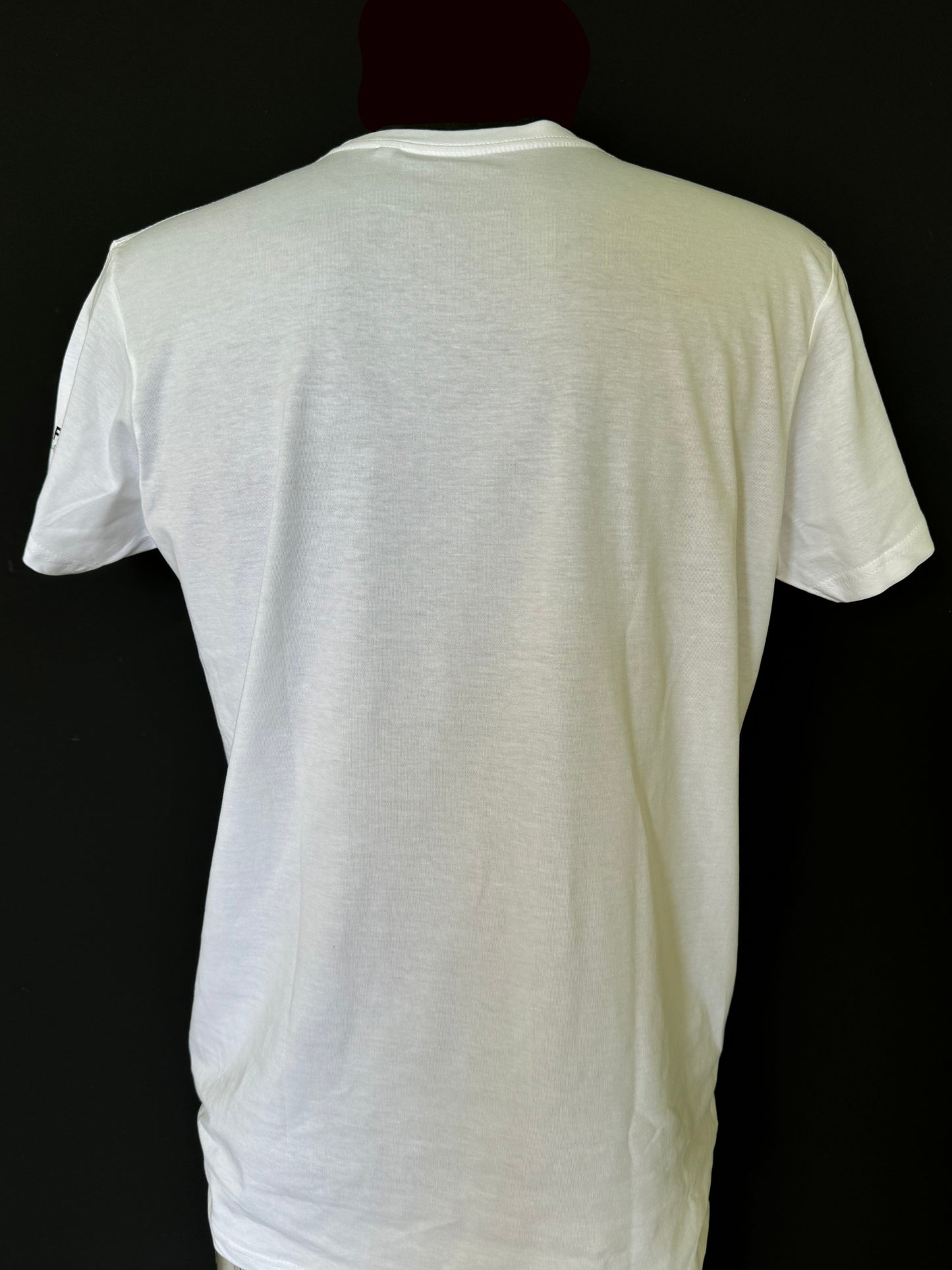 T-Shirt - Nissan Skyline R34 - Bianco